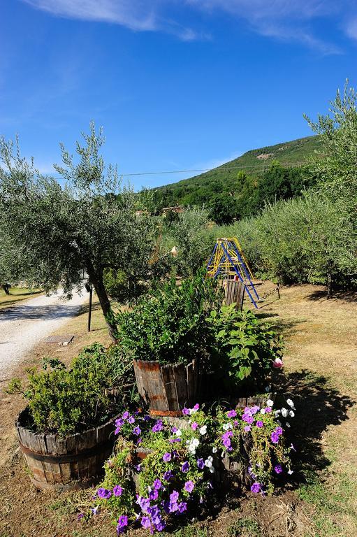 Colle Degli Olivi Snc Guest House Assisi Exterior photo