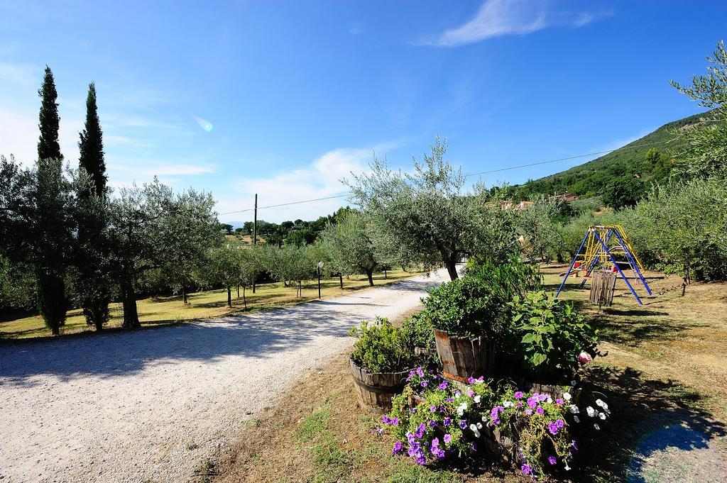 Colle Degli Olivi Snc Guest House Assisi Exterior photo